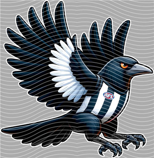 NBA and Team-QD 1422